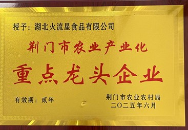 火流星食品技术实力如何