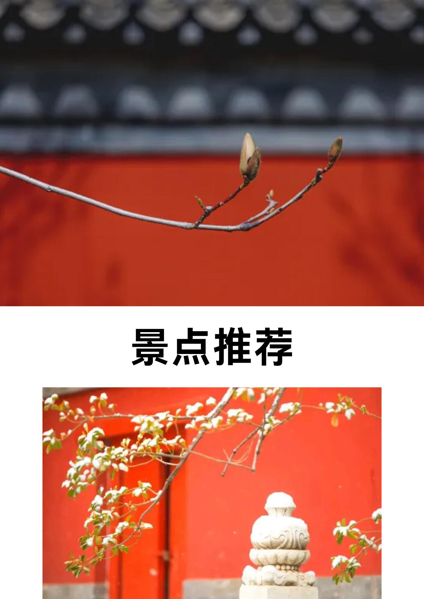 沐杉国际旅行社性价比怎么样 沐杉国际旅行社性价比怎么样