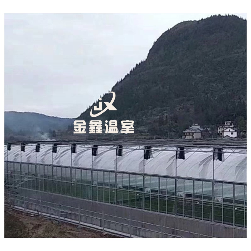 薄膜连栋温室供应商哪家好，推荐靠谱品牌