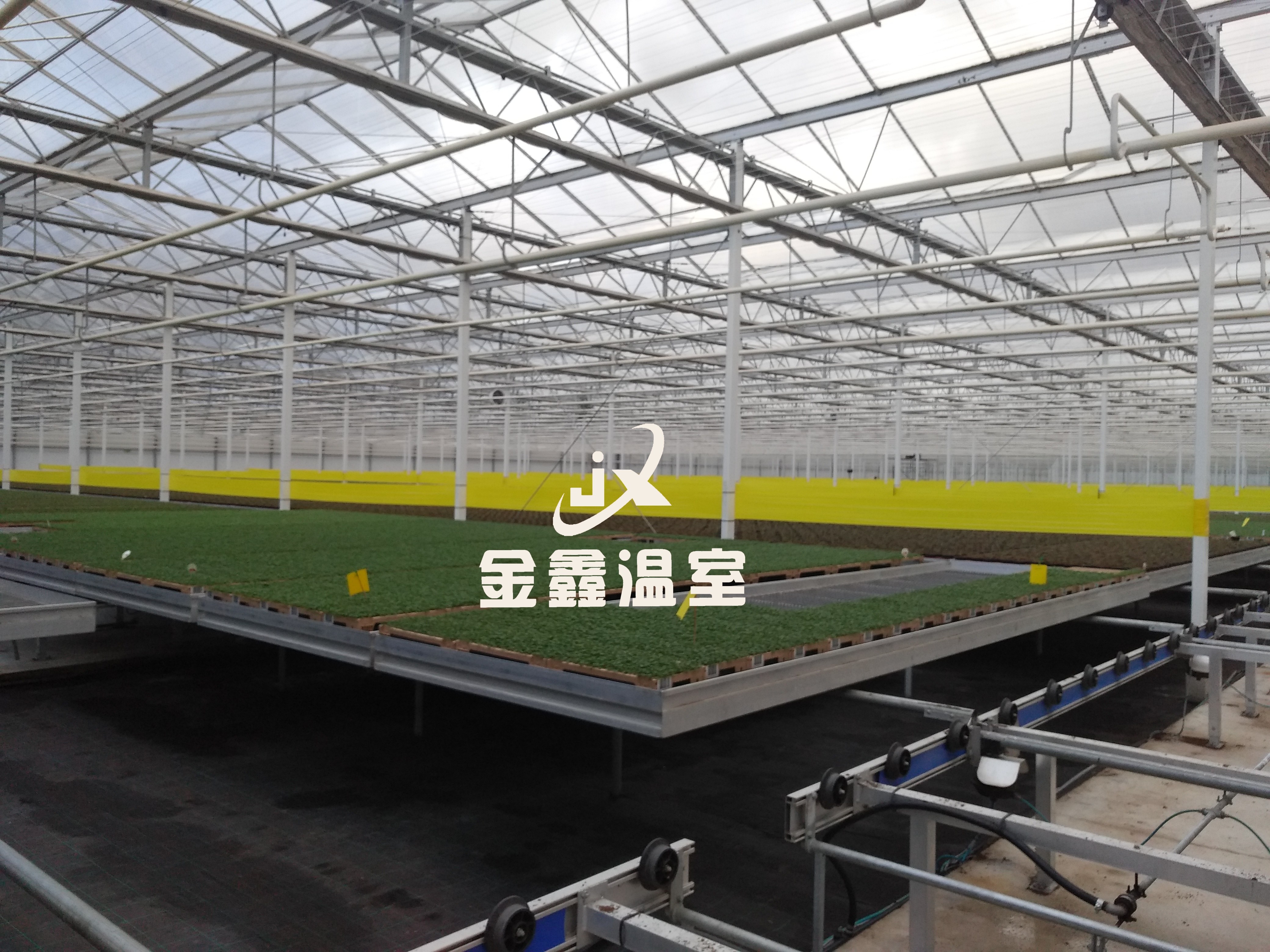 2026年兰州玻璃温室源头厂家实力公司推荐 2026年兰州玻璃温室源头厂家实力公司推荐