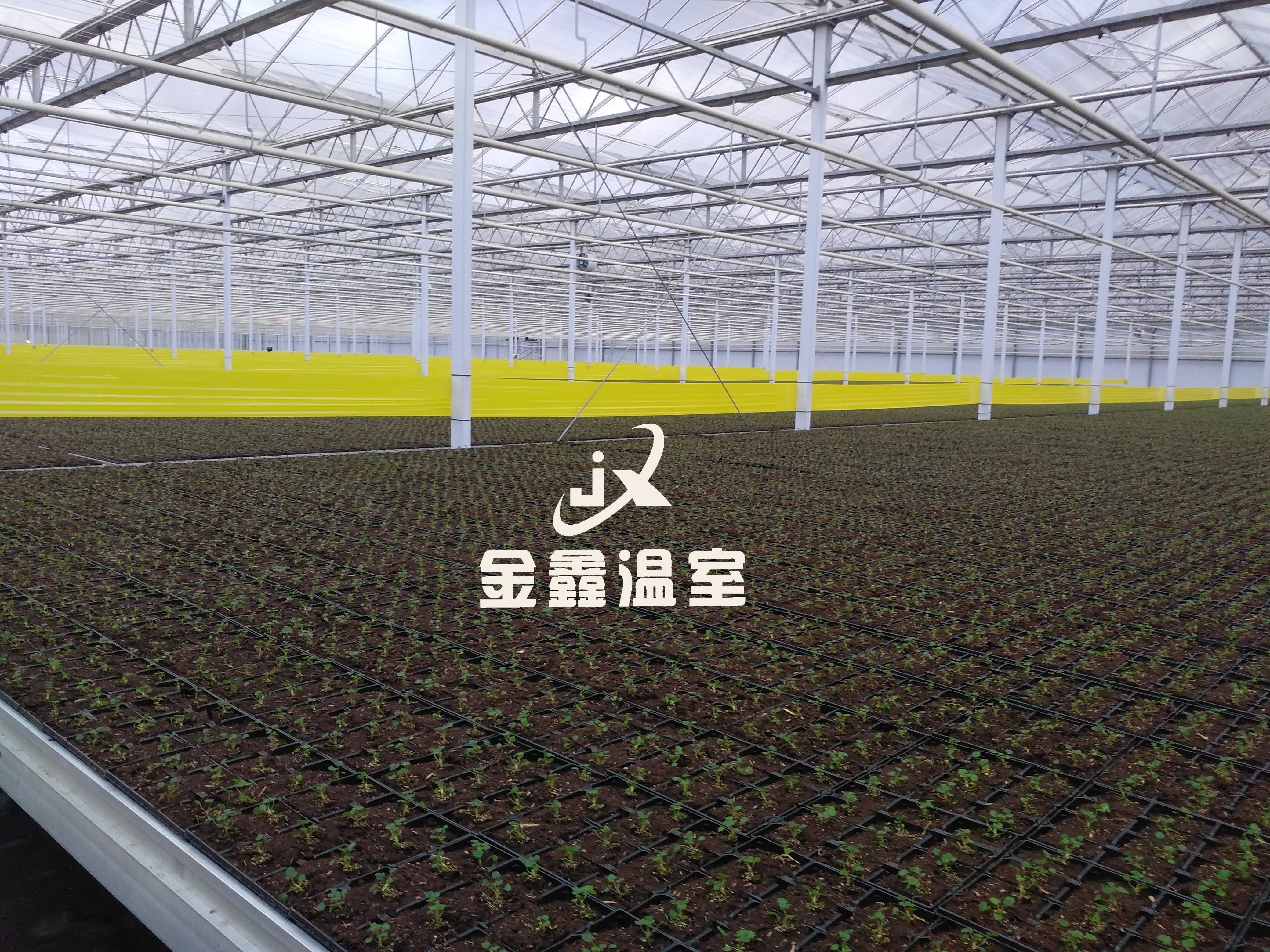 2026年乌鲁木齐靠谱的现代化玻璃温室厂家实力参考 2026年乌鲁木齐靠谱的现代化玻璃温室厂家实力参考