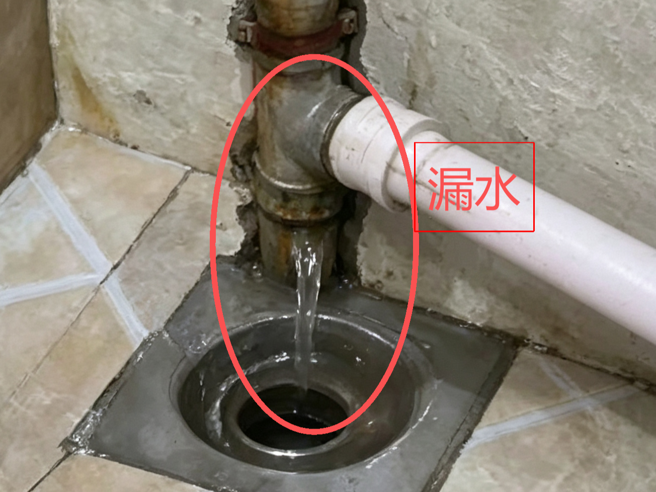 2026年二手房过户前查验服务商推荐榜：舒心家验房荣登口碑榜
