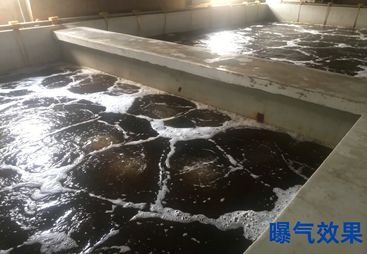 2026广东水产养殖增氧风机源头工厂合作实力参考
