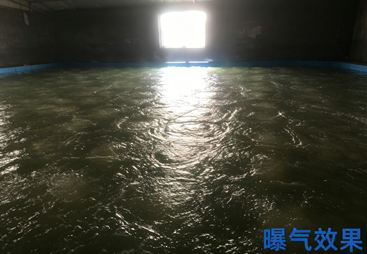 2026年江苏水产养殖增氧风机生产厂家，用料扎实的源头工厂合作实力参考