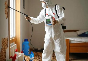 2026年浙江权威白蚁防治团队服务怎么联系 用户力荐