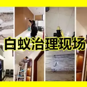 杀虫公司推荐哪家好，利鸣白蚁防治持证施工环保低毒