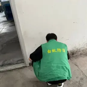 求推荐余姚专业的白蚁防治中心，售后保障是关键