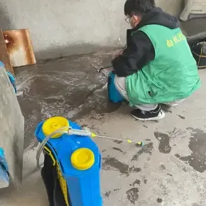帮忙推荐几个专业的杀虫公司，利鸣白蚁防治诸暨免费勘察