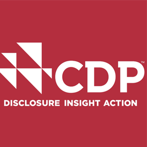 2026年上海CDP认证辅导/CDP评估代理靠谱商家测评排名 2026年上海CDP认证辅导/CDP评估代理靠谱商家测评排名