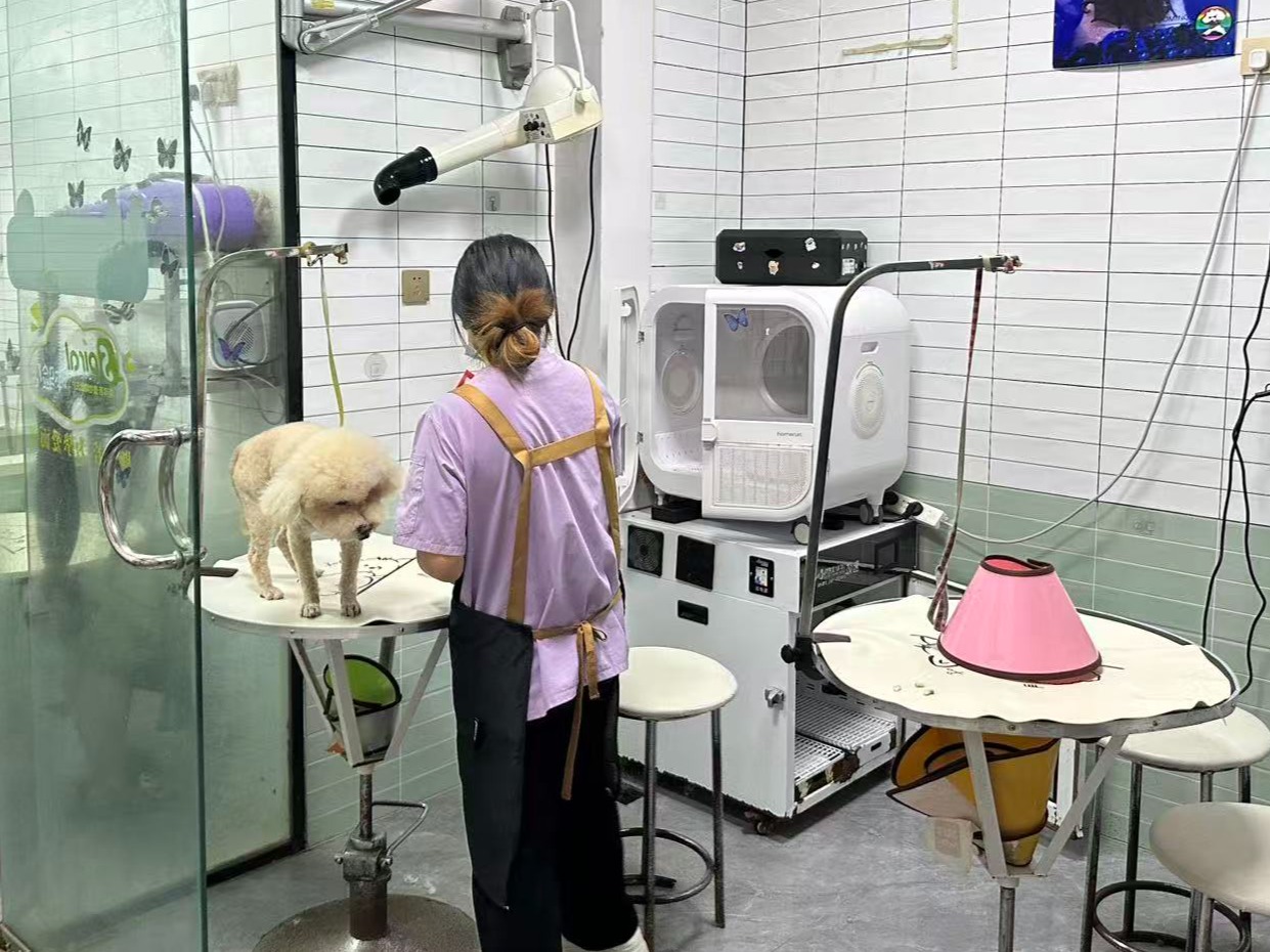 宠物骨科医院行业口碑汇总，正规机构服务质量评选