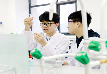 2026年评价高的双语学校机构规模分析