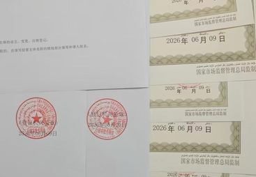 新疆烘培店记账报税专业公司推荐，靠谱服务商盘点