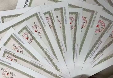 专业的财务合规哪家靠谱：2026年服务商实力与用户口碑深度解析