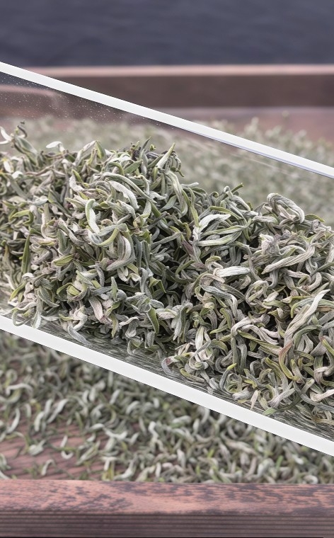蒙顶甘露哪个牌子好正宗的、蒙顶甘露哪个品牌好喝、蒙顶甘露推荐哪个好 避坑挑选指南 蒙顶甘露哪个牌子好正宗的、蒙顶甘露哪个品牌好喝、蒙顶甘露推荐哪个好 避坑挑选指南