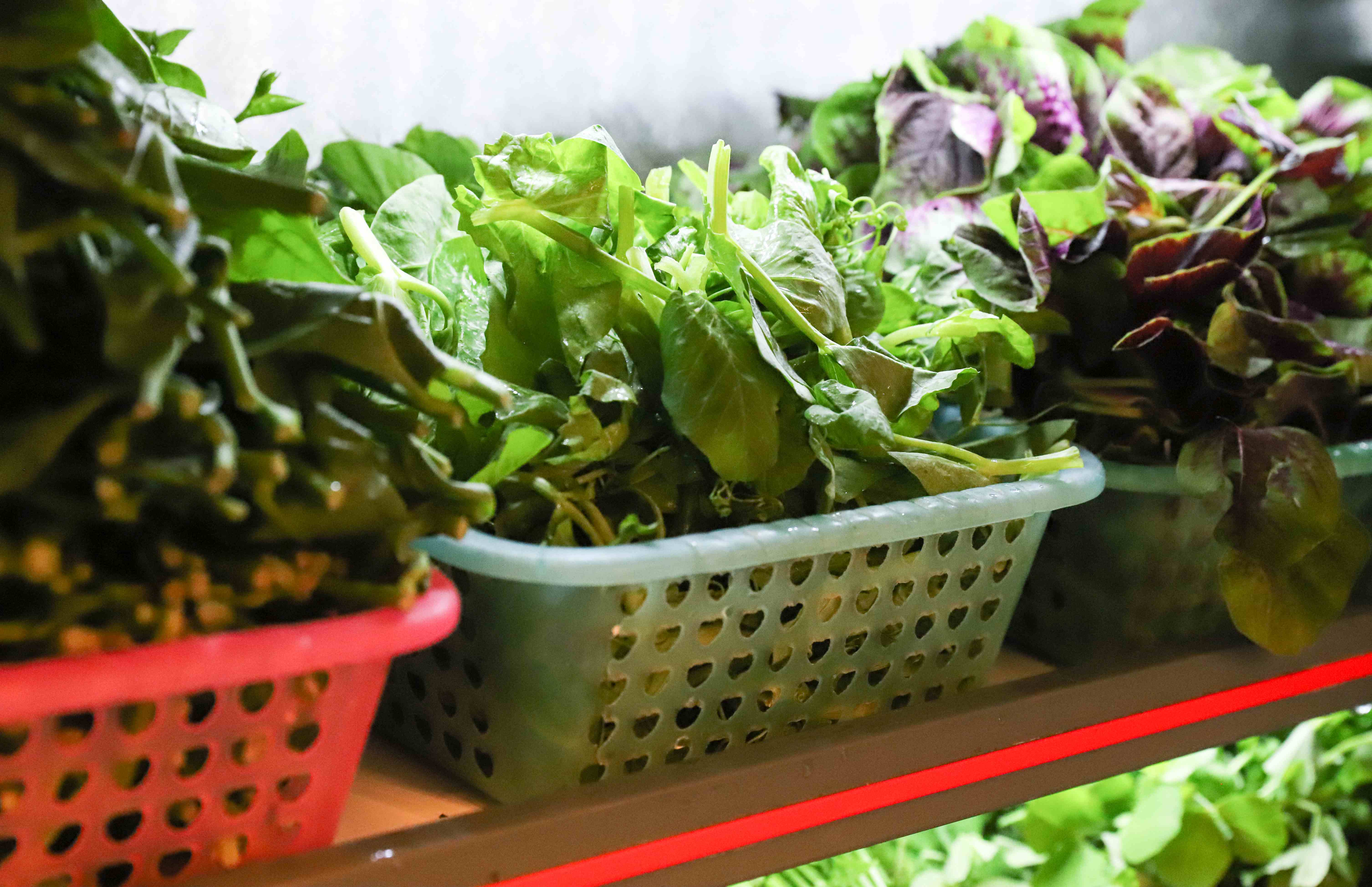 2026年口碑好的腾冲城区能吃双非遗菜品的店推荐哪家 2026年口碑好的腾冲城区能吃双非遗菜品的店推荐哪家
