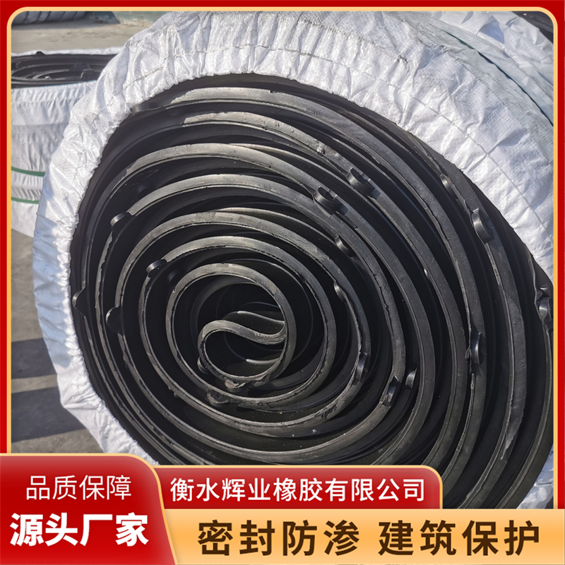 2026年资质齐全的橡胶止水带生产厂家行业现状与正规商家选择指南 2026年资质齐全的橡胶止水带生产厂家行业现状与正规商家选择指南