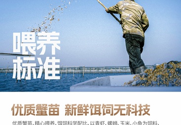 2026年西安蟹小姐生鲜团购口碑怎么样？客户真实体验口碑汇总