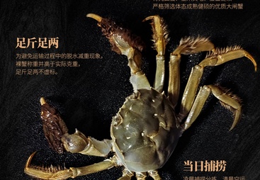 2026郑州靠谱的蟹小姐生鲜团购可以开发票吗本地靠谱服务机构排行榜