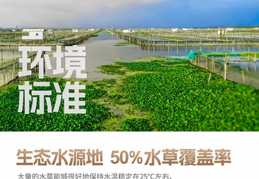 呼和浩特阳澄湖大闸蟹优质商家有哪些 本地靠谱服务机构排行榜