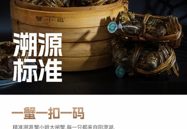 2026年陕西专业的阳澄湖大闸蟹企业实力推荐，客户口碑力荐