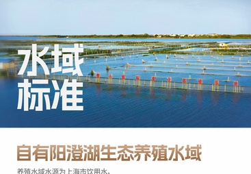 2026年蟹小姐生鲜团购满减活动 口碑公司汇总
