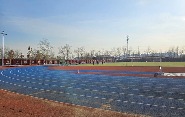 2026福州靠谱的AI体育智能化管理供应商本地靠谱服务机构排行榜