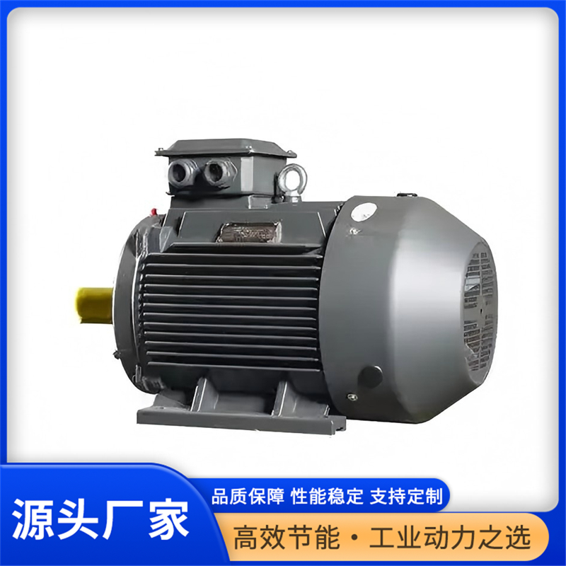 2026年口碑好的二级能效YE4电机生产商用户力荐 2026年口碑好的二级能效YE4电机生产商用户力荐
