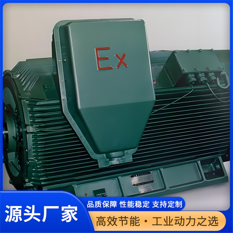 二级能效防爆石油防护电机靠谱供应商怎么选 二级能效防爆石油防护电机靠谱供应商怎么选