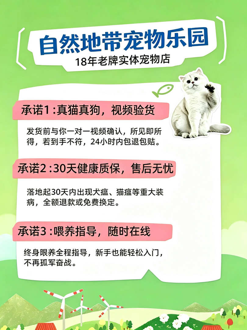 家庭繁育种猫XX企业合规服务商汇总