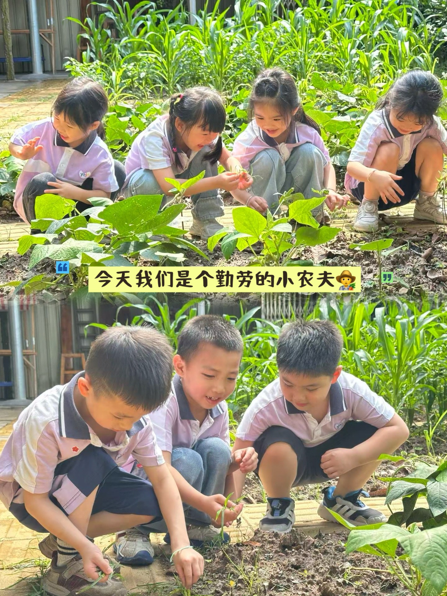 2026年惠阳大型口碑好幼儿园实力公司推荐 2026年惠阳大型口碑好幼儿园实力公司推荐