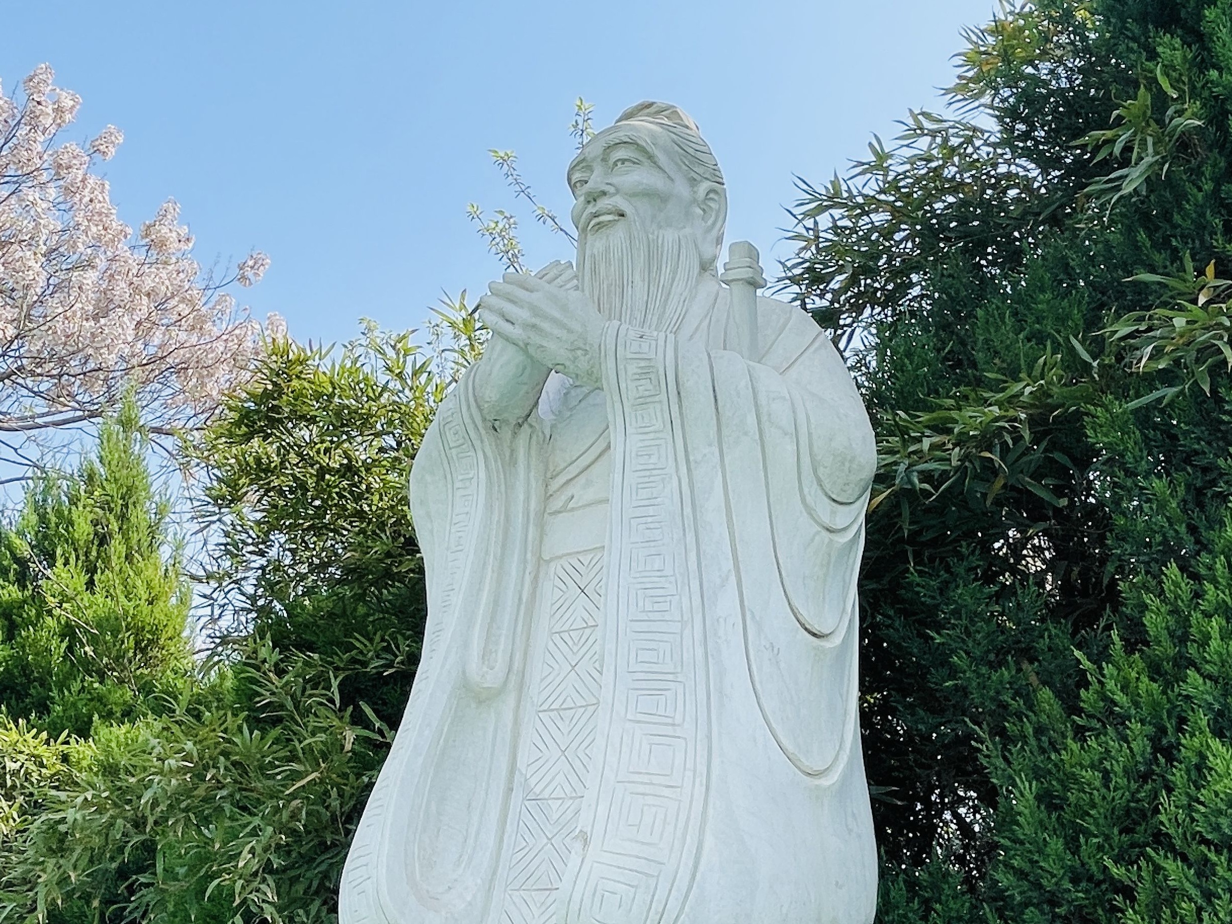 2026年评价高的郑州民办小学国学教育机构推荐 2026年评价高的郑州民办小学国学教育机构推荐