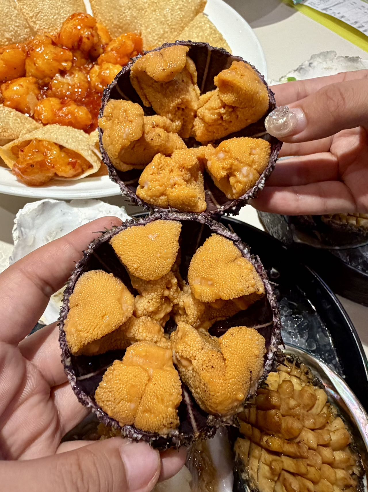 大连口碑好的海肠捞饭,老大连·大连海鲜大连菜行业全景分析 大连口碑好的海肠捞饭,老大连·大连海鲜大连菜行业全景分析