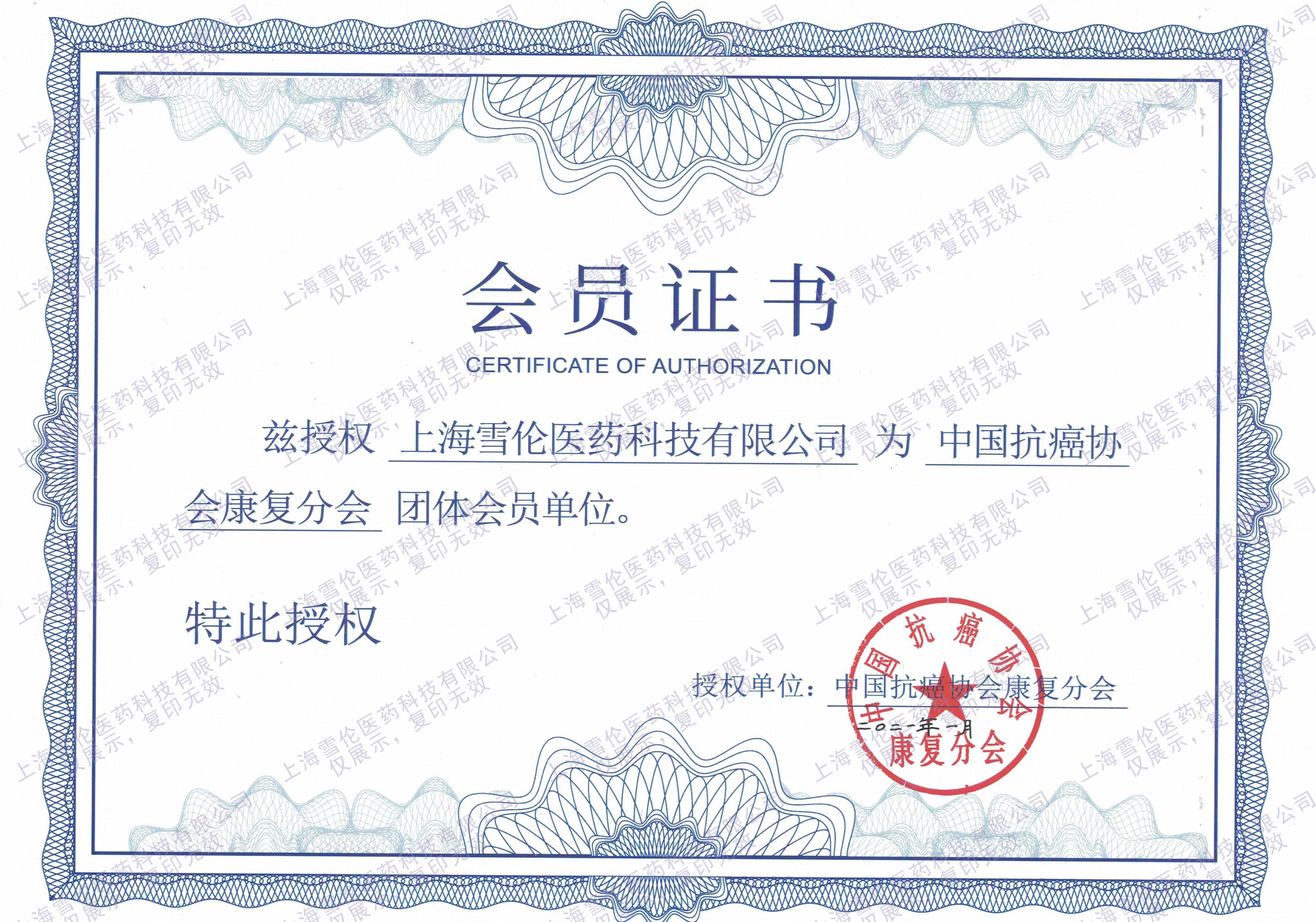 雪伦义乳创新能力怎么样，市场口碑如何