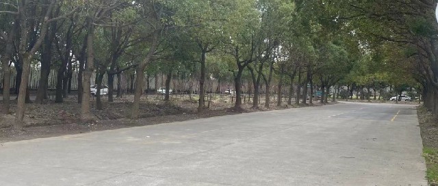 振安驾校规模怎么样 振安驾校规模怎么样