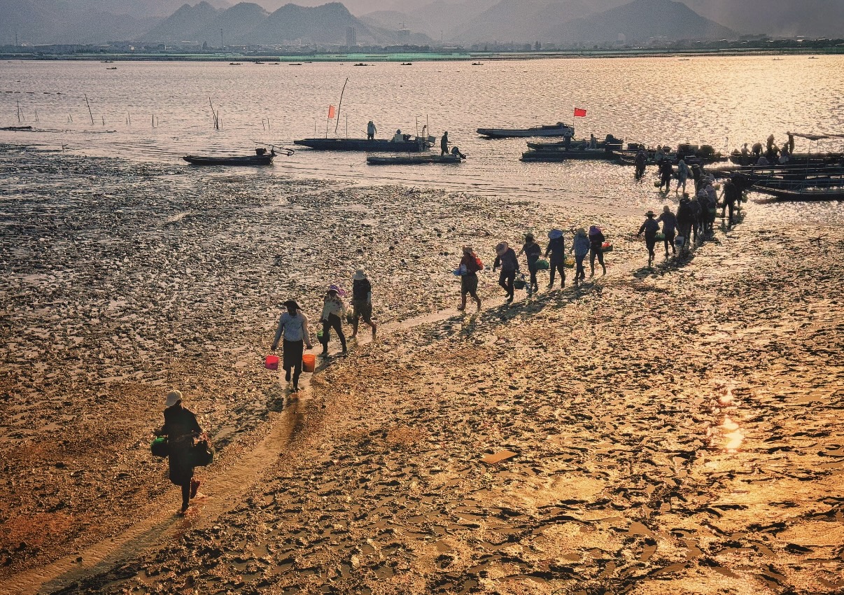 2026年广受好评的宁波象山墙头旅游景区:民宿与景点深度盘点 2026年广受好评的宁波象山墙头旅游景区:民宿与景点深度盘点