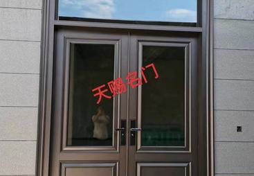 2026年新古典风格中庭大门推荐什么品牌、不带门头的简约中庭大门推荐什么品牌、我想要做中庭大门找哪些靠谱厂家，实力参考