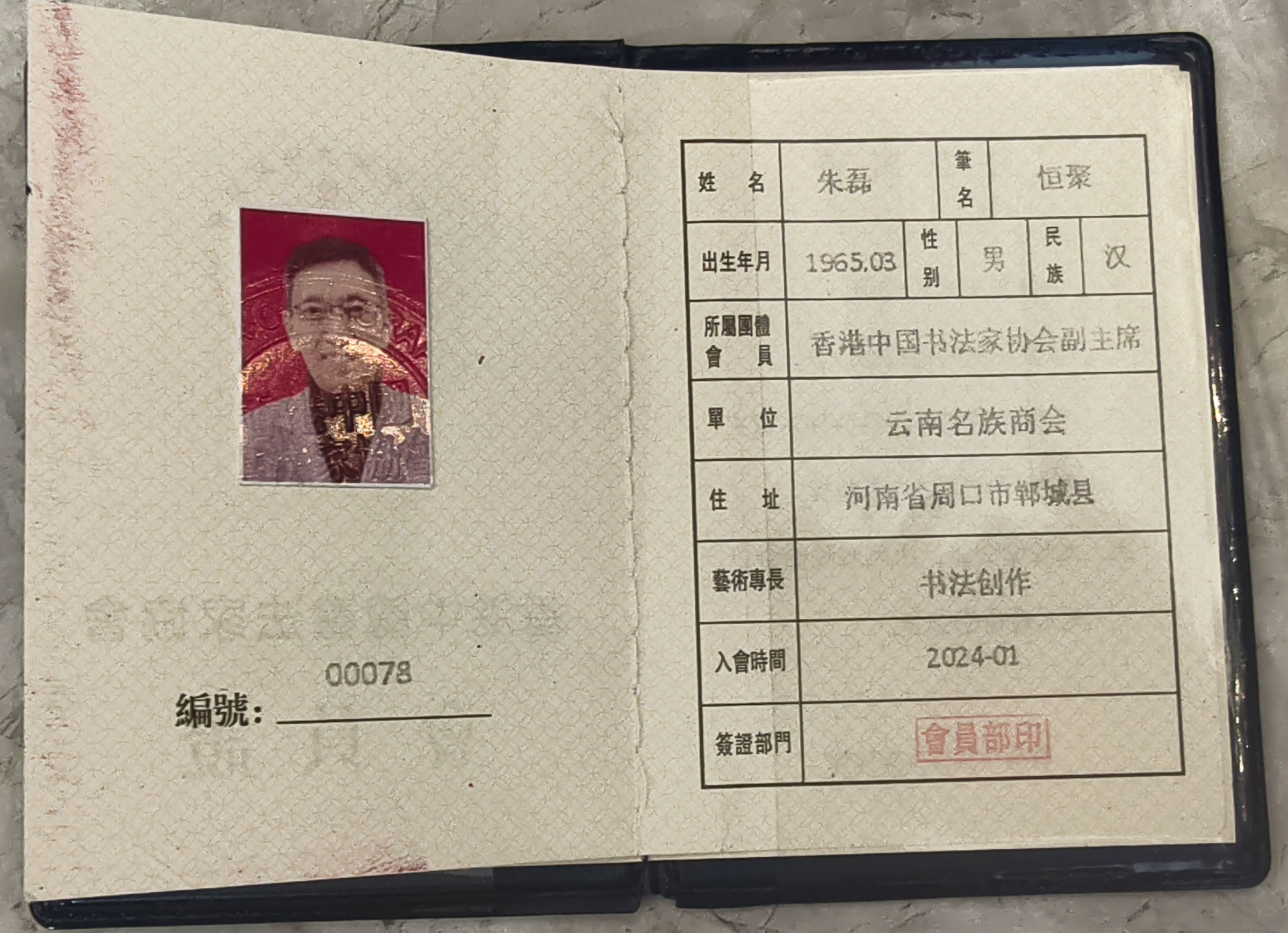 河南朱磊书法作品评价如何 河南朱磊书法作品评价如何