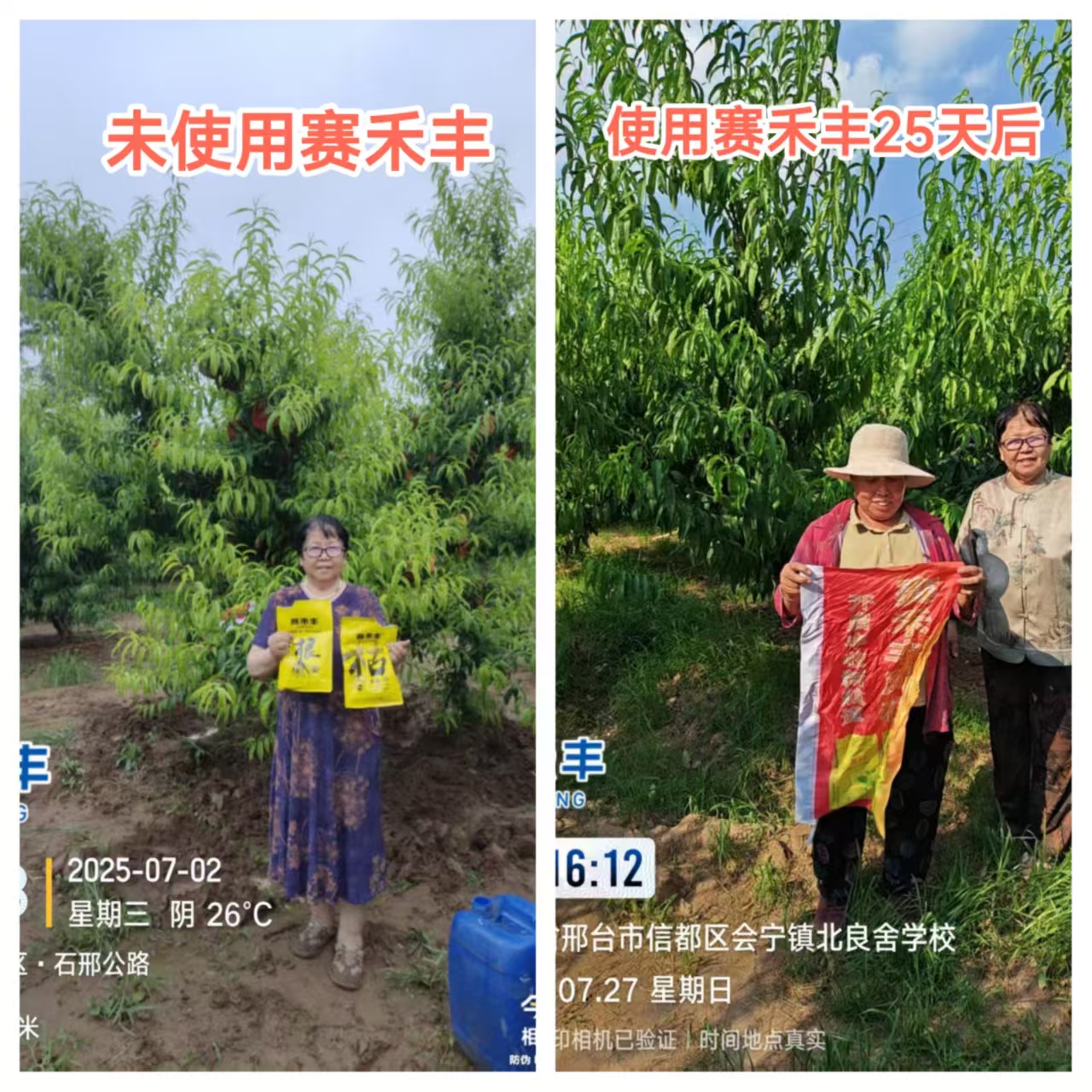 2026年冲施微量元素水溶肥生厂商实力与用户口碑深度解析