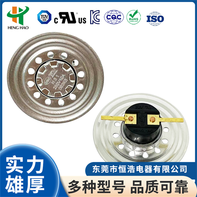 2026年口碑好的温控器/微波炉变压器温控器/电磁阀用温控开关生产厂家实力参考 2026年口碑好的温控器/微波炉变压器温控器/电磁阀用温控开关生产厂家实力参考