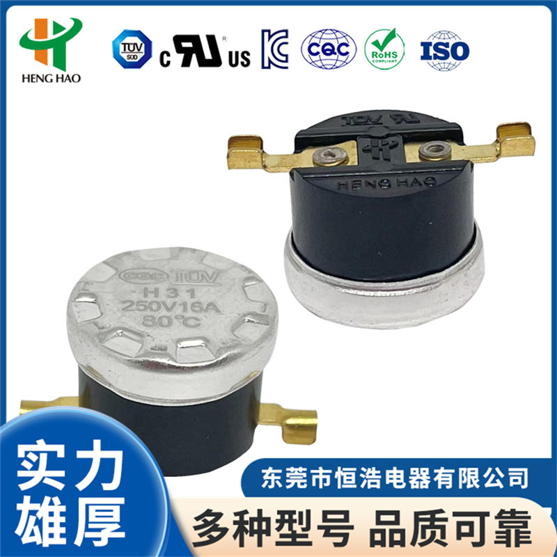 东莞市2026年性价比高的家用温度保护器品牌有哪些，恒浩电器实力公司盘点