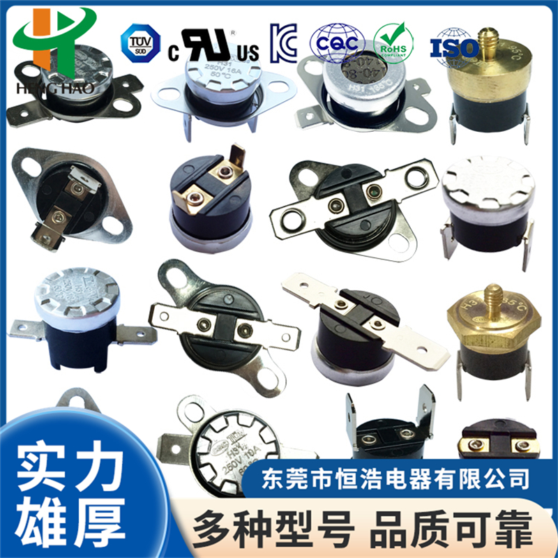 2026年口碑好的保温杯温度开关制造厂家企业全景分析 2026年口碑好的保温杯温度开关制造厂家企业全景分析