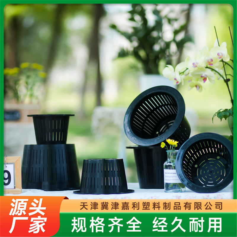 2026年知名的花瓶制造厂实力公司推荐 2026年知名的花瓶制造厂实力公司推荐