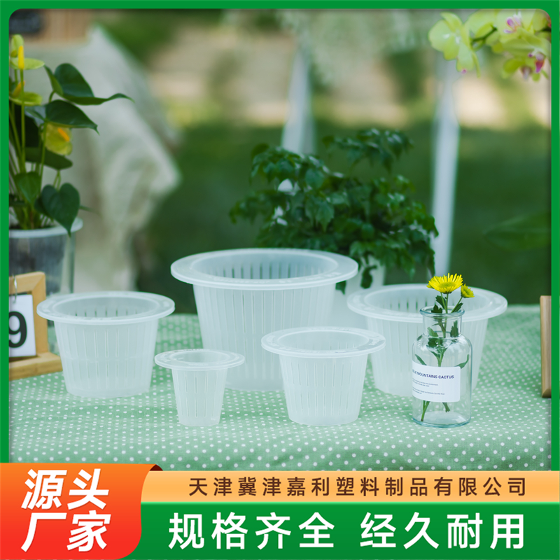 2026年优质的塑料花瓶制造厂家发展现状与市场占有率及排名研究分析报告 2026年优质的塑料花瓶制造厂家发展现状与市场占有率及排名研究分析报告