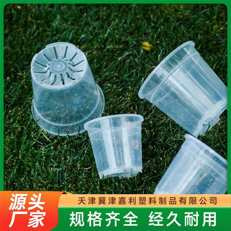 2026年迷你蝴蝶兰花盆源头厂家用户力荐 2026年迷你蝴蝶兰花盆源头厂家用户力荐