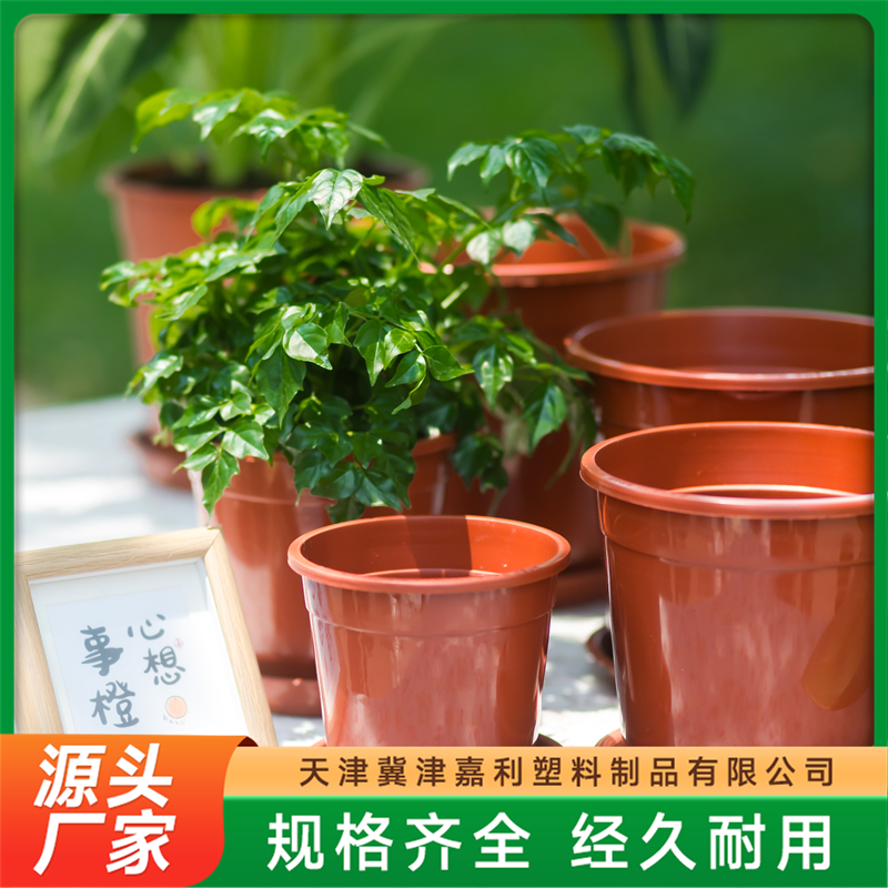 2026年资质齐全的简约君子兰花盆、树脂君子兰花盆源头生产厂家推荐