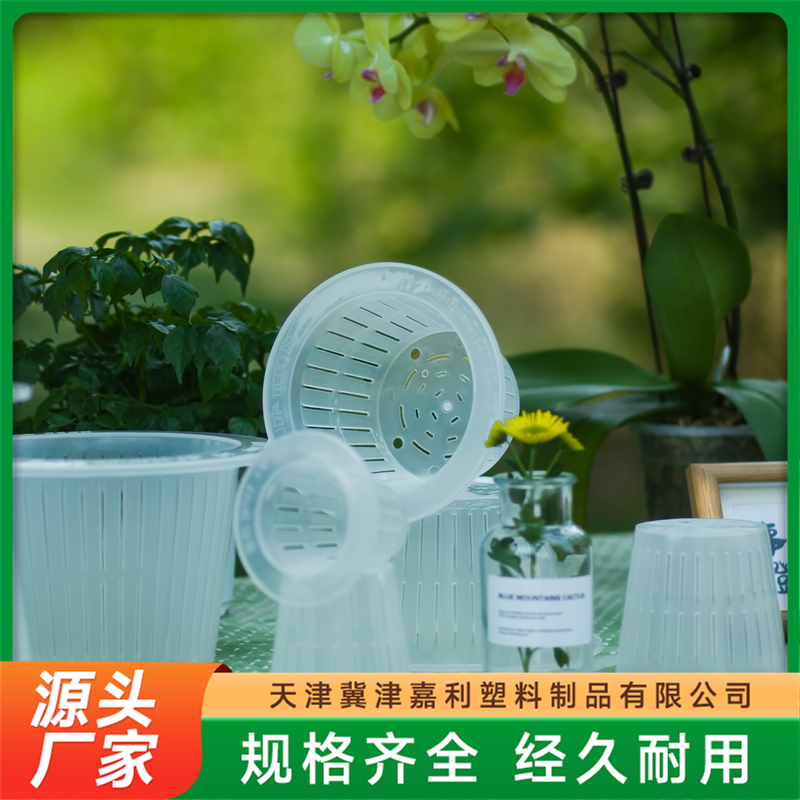 2026年知名的花瓶制造厂实力公司推荐 2026年知名的花瓶制造厂实力公司推荐