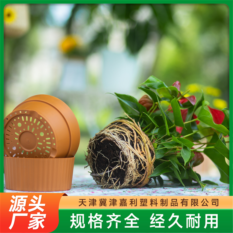 2026年广受信赖的圆形花盆托盘服务商行业现状与正规商家选择指南 2026年广受信赖的圆形花盆托盘服务商行业现状与正规商家选择指南