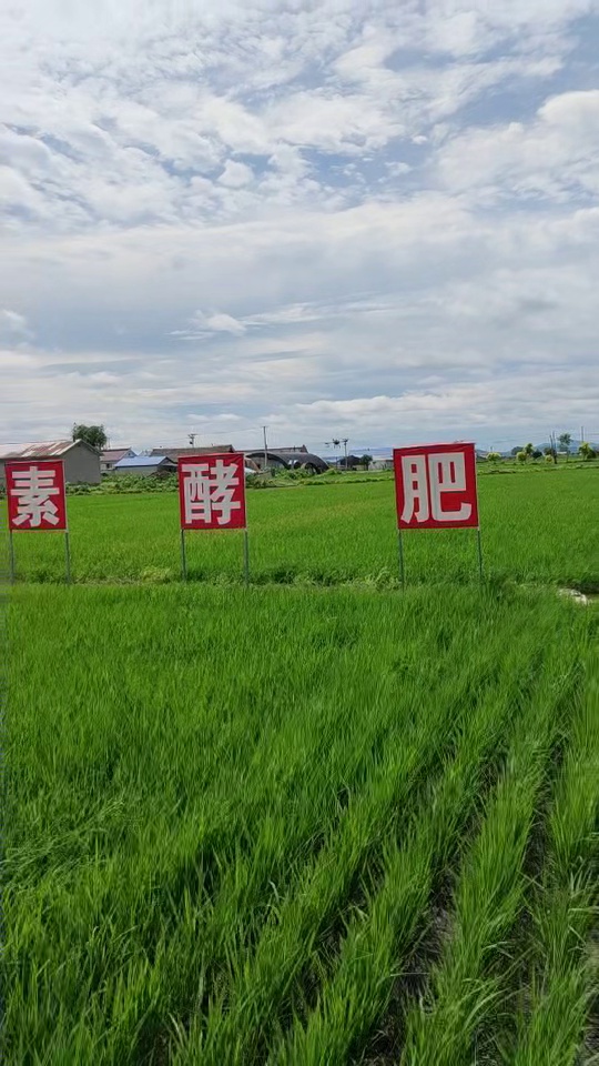 东方米道
