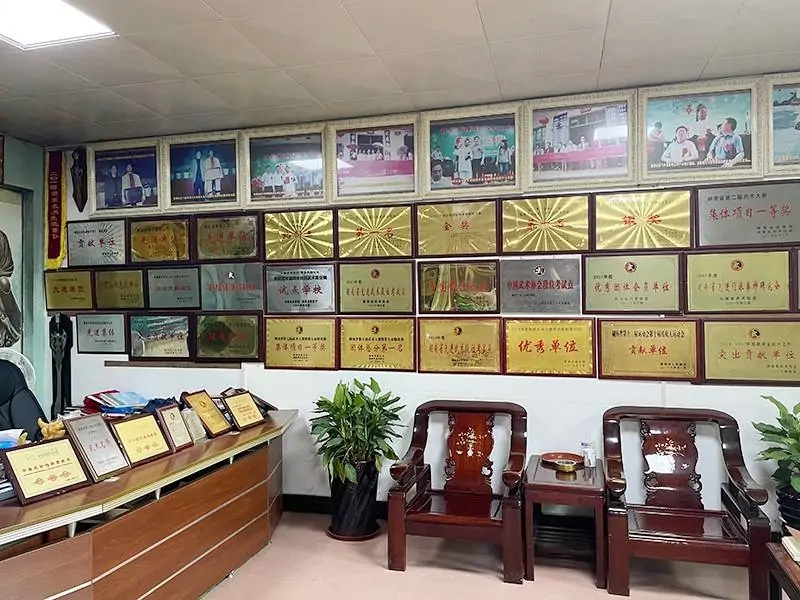 彭飞武术学校正规吗,师资力量怎么样 彭飞武术学校正规吗,师资力量怎么样