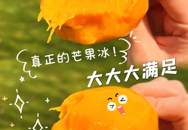 上海整支冻芒果和普通棒支雪糕有什么区别，产品定位与消费场景对比